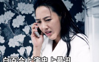 白百何演过的电视剧，白百何演过的电视剧全部