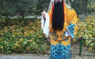 打金枝豫剧全集刘忠河歌词，打金枝豫剧全集刘忠河高清