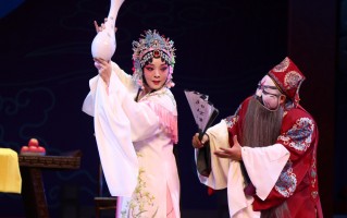 豫剧王华买爹全剧播放，豫剧王华买爹全剧播放5